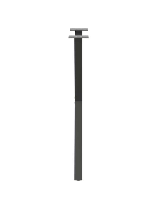 SÖÖGILAUA JALAD, X-KUJULISED, 2 TK, ANTRATSIITHALL, 50 X (72–73) CM, TERAS