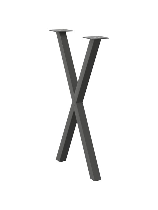 SÖÖGILAUA JALAD, X-KUJULISED, 2 TK, ANTRATSIITHALL, 60 X (72-73) CM, TERAS
