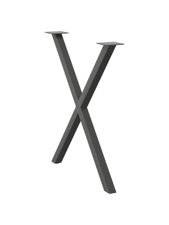 SÖÖGILAUA JALAD, X-KUJULISED, 2 TK, ANTRATSIITHALL, 80 X (72–73) CM, TERAS