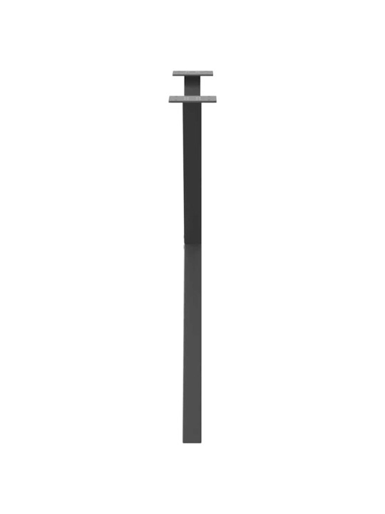 SÖÖGILAUA JALAD, X-KUJULISED, 2 TK, ANTRATSIITHALL, 80 X (72–73) CM, TERAS