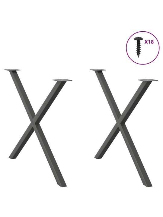 SÖÖGILAUA JALAD, X-KUJULISED, 2 TK, ANTRATSIITHALL, 90 X (72–73) CM, TERAS