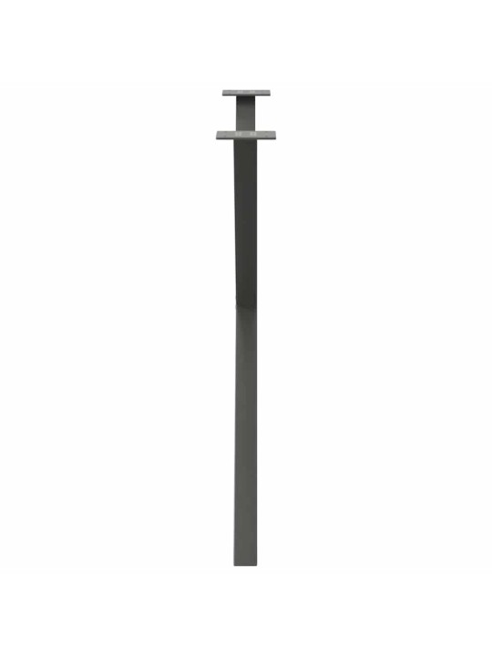 SÖÖGILAUA JALAD, X-KUJULISED, 2 TK, ANTRATSIITHALL, 90 X (72–73) CM, TERAS