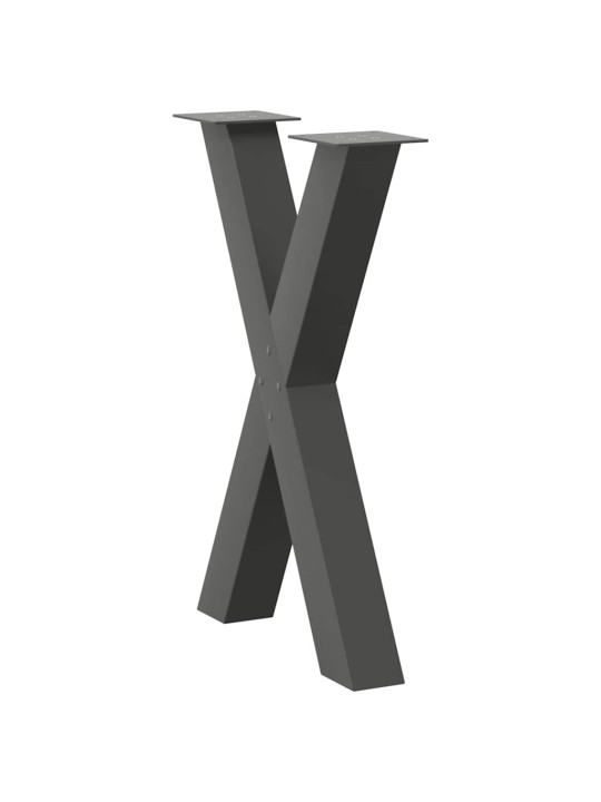 SÖÖGILAUA JALAD, X-KUJULISED, 2 TK, ANTRATSIITHALL, 50 X (72–73) CM, TERAS