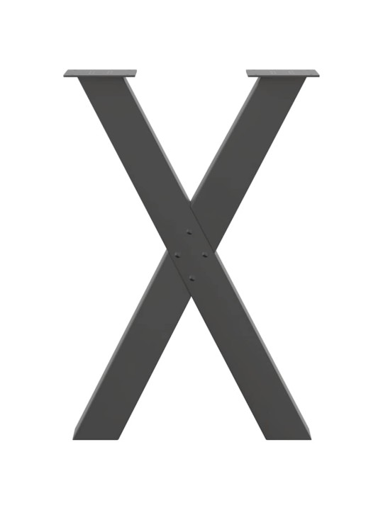 SÖÖGILAUA JALAD, X-KUJULISED, 2 TK, ANTRATSIITHALL, 50 X (72–73) CM, TERAS
