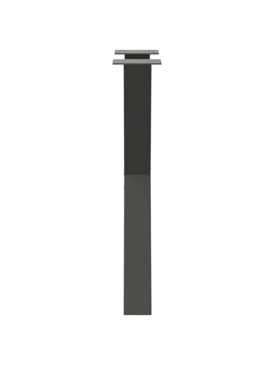 SÖÖGILAUA JALAD, X-KUJULISED, 2 TK, ANTRATSIITHALL, 50 X (72–73) CM, TERAS