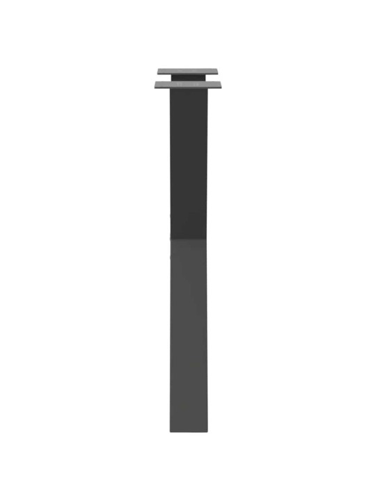 SÖÖGILAUA JALAD, X-KUJULISED, 2 TK, ANTRATSIITHALL, 60 X (72-73) CM, TERAS