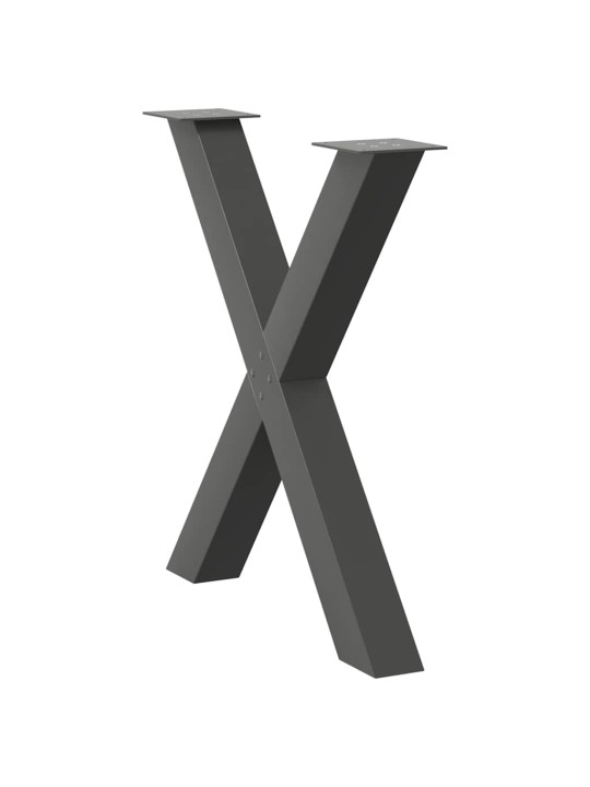 SÖÖGILAUA JALAD, X-KUJULISED, 2 TK, ANTRATSIITHALL, 80 X (72–73) CM, TERAS