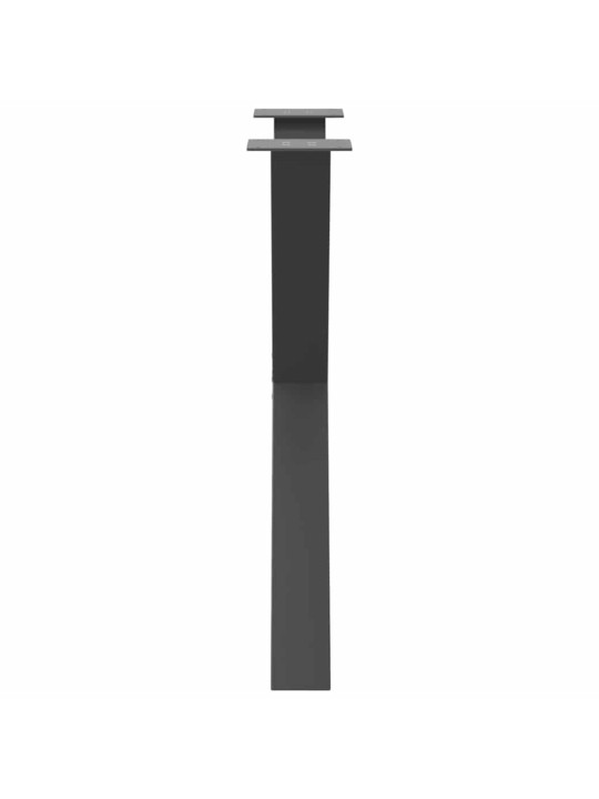 SÖÖGILAUA JALAD, 3 TK, X-KUJULISED, ANTRATSIITHALL, 80 X (72–73) CM, TERAS