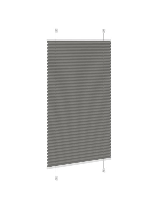 PLISSEERITUD RULOO ANTRATSIIT 70X100 CM KANGA LAIUS 69,4 CM