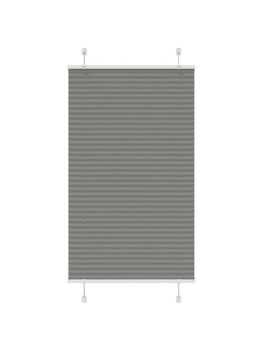 PLISSEERITUD RULOO ANTRATSIIT 75X100 CM KANGA LAIUS 74,4 CM