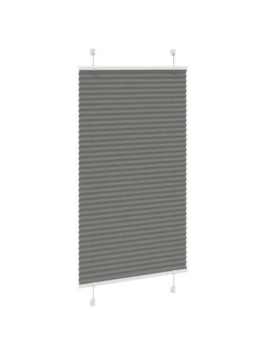 PLISSEERITUD RULOO ANTRATSIIT 80X100 CM KANGA LAIUS 79,4 CM