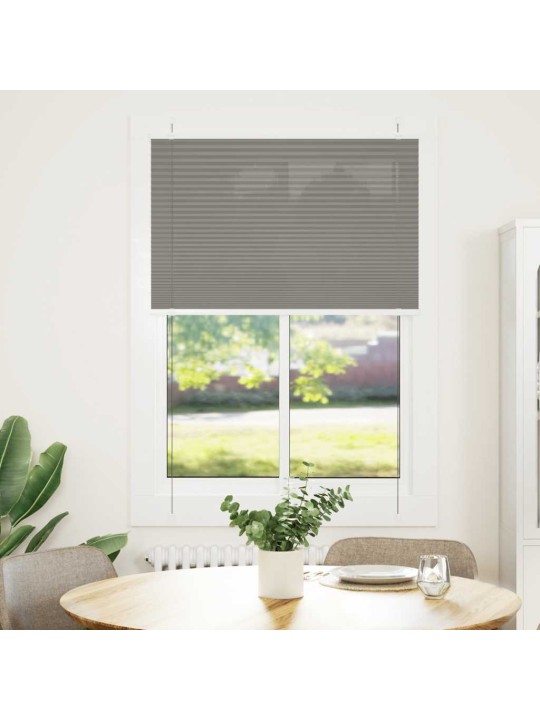 PLISSEERITUD RULOO ANTRATSIIT 85X100 CM KANGA LAIUS 84,4 CM