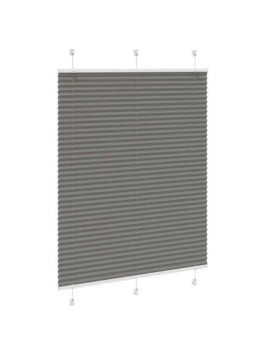 PLISSEERITUD RULOO ANTRATSIIT 105X100 CM KANGA LAIUS 104,4 CM
