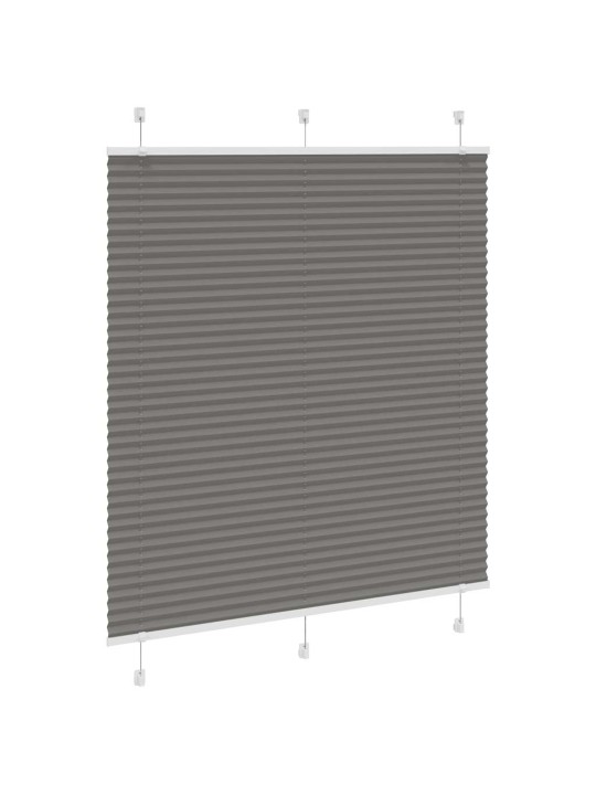 PLISSEERITUD RULOO ANTRATSIIT 115X100 CM KANGA LAIUS 114,4 CM