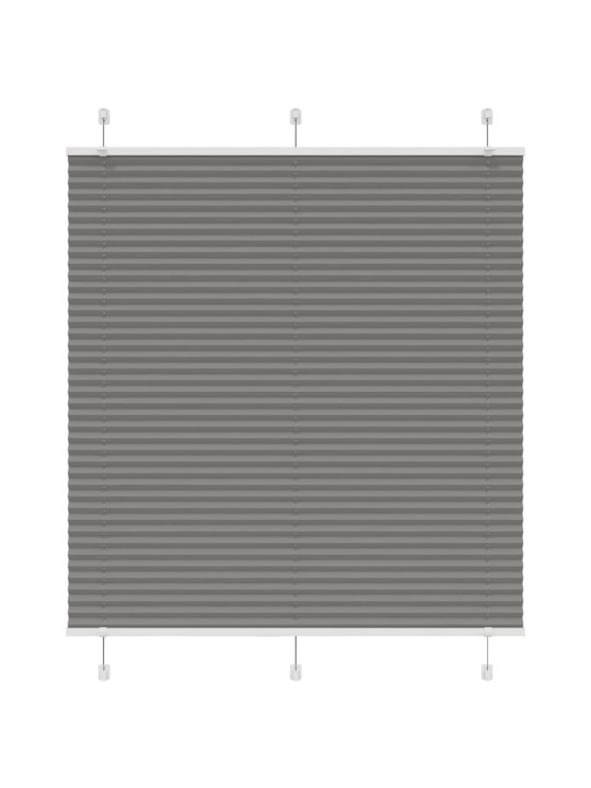 PLISSEERITUD RULOO ANTRATSIIT 120X150 CM KANGA LAIUS 119,4 CM