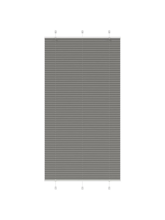 PLISSEERITUD RULOO ANTRATSIIT 105X200 CM KANGA LAIUS 104,4 CM
