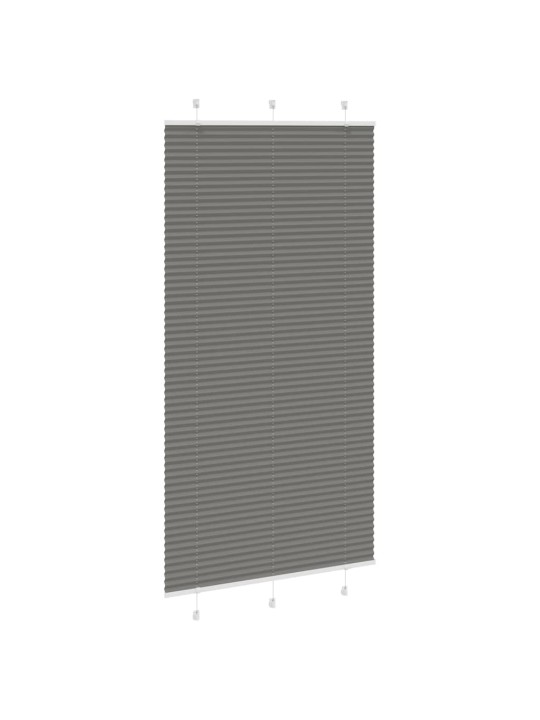PLISSEERITUD RULOO ANTRATSIIT 105X200 CM KANGA LAIUS 104,4 CM
