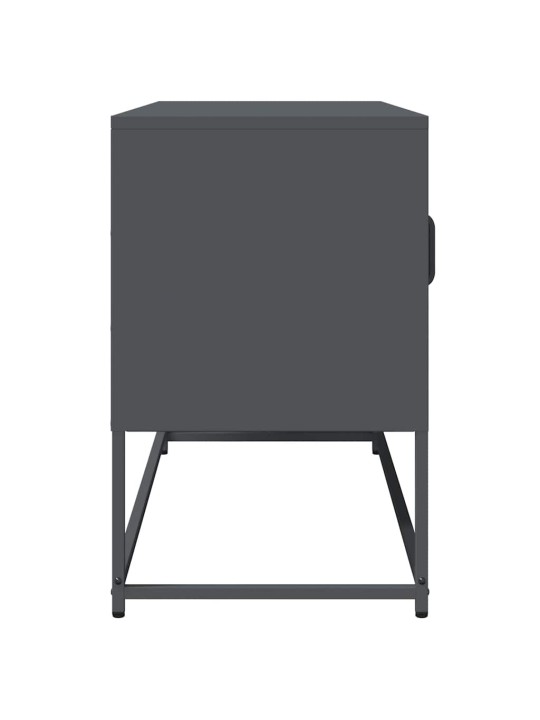 TELERIKAPP ANTRATSIIT 100,5X39X60,5 CM KÜLMVALTSITUD TERAS