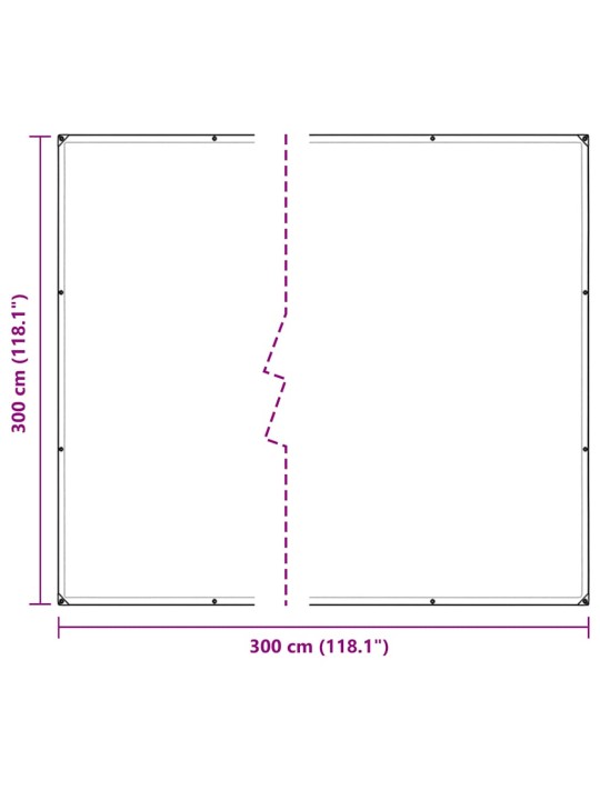 LÄBIPAISTEV PRESENT AASADEGA 3X3 M POLÜETÜLEEN