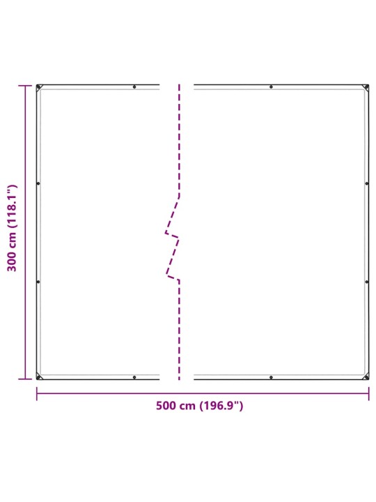 LÄBIPAISTEV PRESENT AASADEGA 3X5 M POLÜETÜLEEN