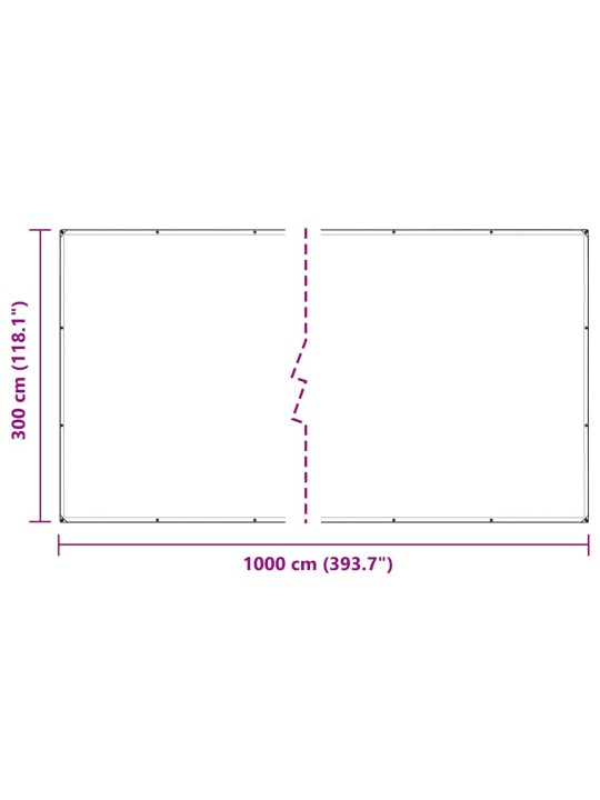 LÄBIPAISTEV PRESENT AASADEGA 3X10 M POLÜETÜLEEN