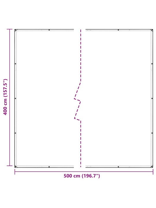 LÄBIPAISTEV PRESENT AASADEGA 4X5 M POLÜETÜLEEN