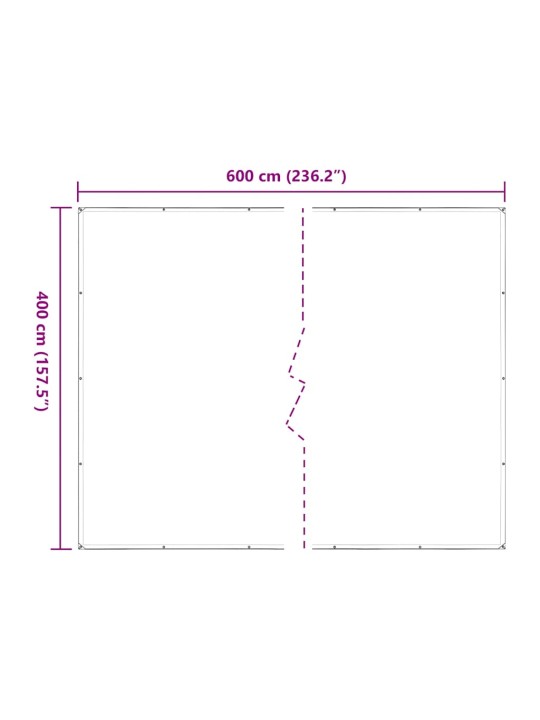 LÄBIPAISTEV AASADEGA PRESENT 4X6 M POLÜETÜLEEN