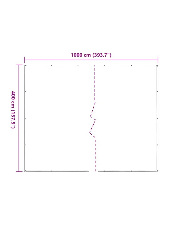 LÄBIPAISTEV PRESENT AASADEGA 4X10 M POLÜETÜLEEN