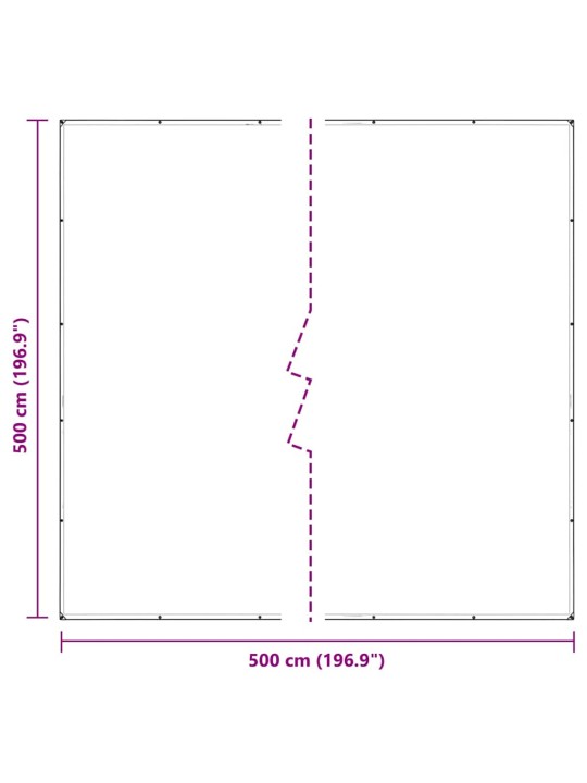 LÄBIPAISTEV PRESENT AASADEGA 5X5 M POLÜETÜLEEN