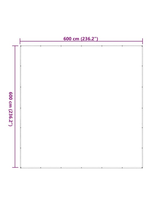 LÄBIPAISTEV PRESENT AASADEGA 6X6 M POLÜETÜLEEN