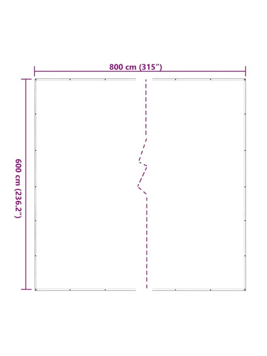 LÄBIPAISTEV PRESENT AASADEGA 6X8 M POLÜETÜLEEN