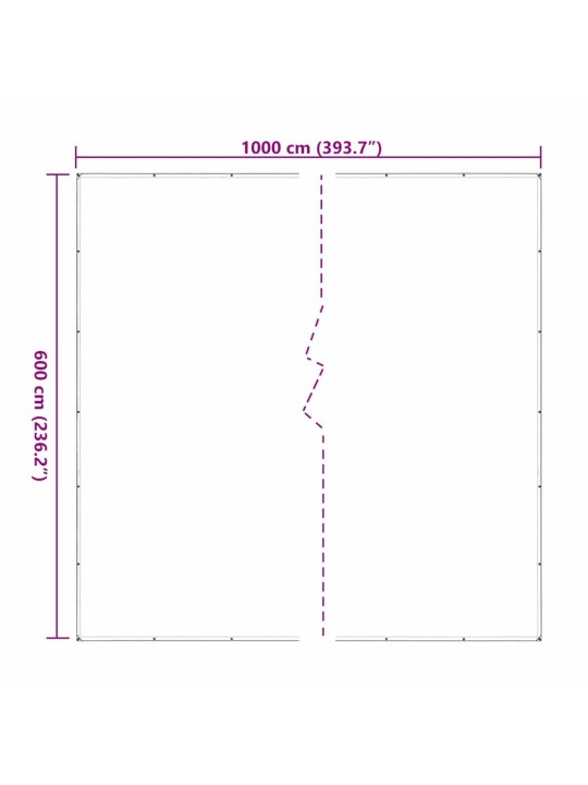 LÄBIPAISTEV PRESENT AASADEGA 6X10 M POLÜETÜLEEN
