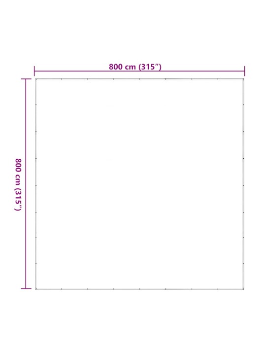 LÄBIPAISTEV PRESENT AASADEGA 8X8 M POLÜETÜLEEN