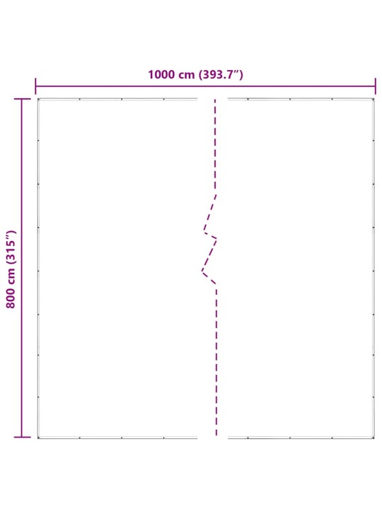 LÄBIPAISTEV PRESENT AASADEGA 8X10 M POLÜETÜLEEN