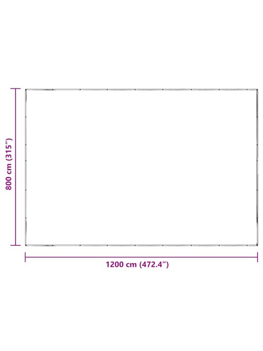 LÄBIPAISTEV PRESENT AASADEGA 8X12 M POLÜETÜLEEN