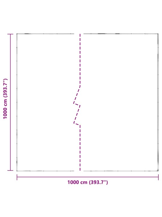 LÄBIPAISTEV AASADEGA PRESENT 10X10 M POLÜETÜLEEN