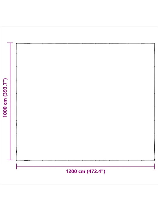 LÄBIPAISTEV AASADEGA PRESENT 10X12 M POLÜETÜLEEN