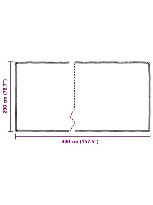 LÄBIPAISTEV AASADEGA PRESENT 2X4 M POLÜETÜLEEN