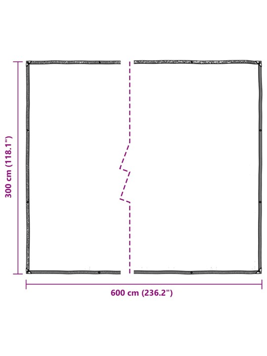LÄBIPAISTEV PRESENT AASADEGA 3X6 M POLÜETÜLEEN