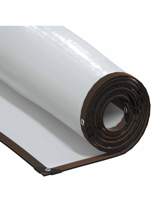 LÄBIPAISTEV PRESENT AASADEGA 3X10 M POLÜETÜLEEN