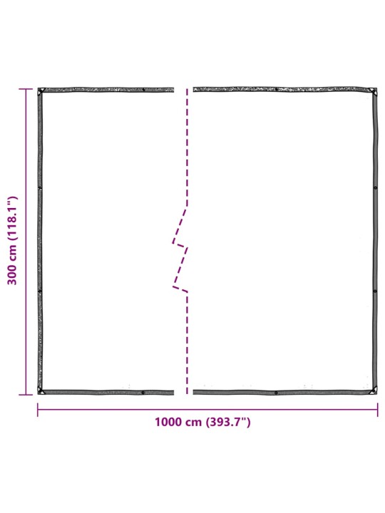 LÄBIPAISTEV PRESENT AASADEGA 3X10 M POLÜETÜLEEN