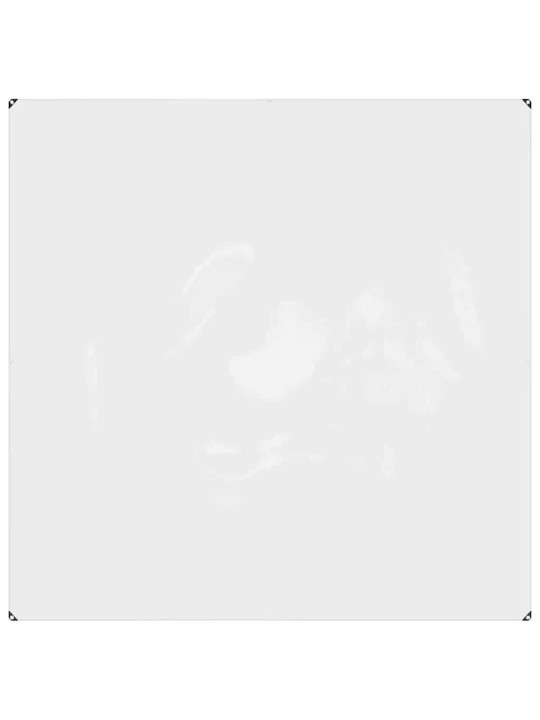 LÄBIPAISTEV PRESENT AASADEGA 2X2 M PVC