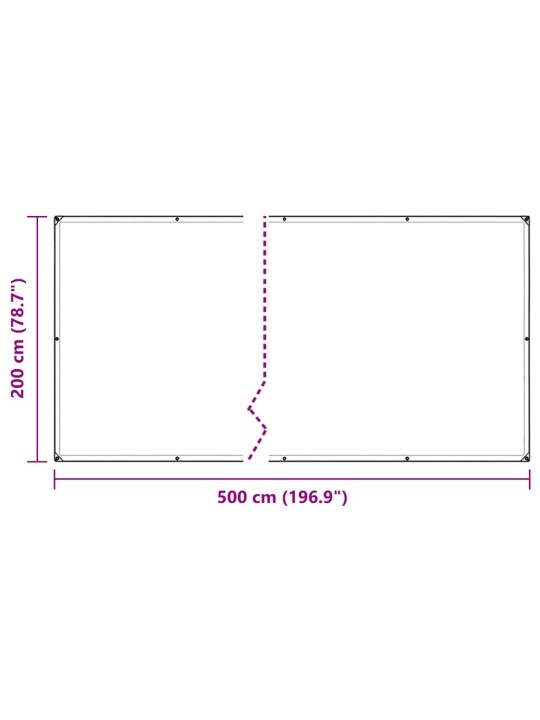 LÄBIPAISTEV PRESENT AASADEGA 2X5 M PVC