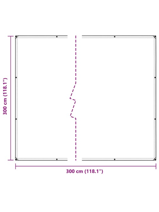 LÄBIPAISTEV PRESENT AASADEGA 3X3 M PVC