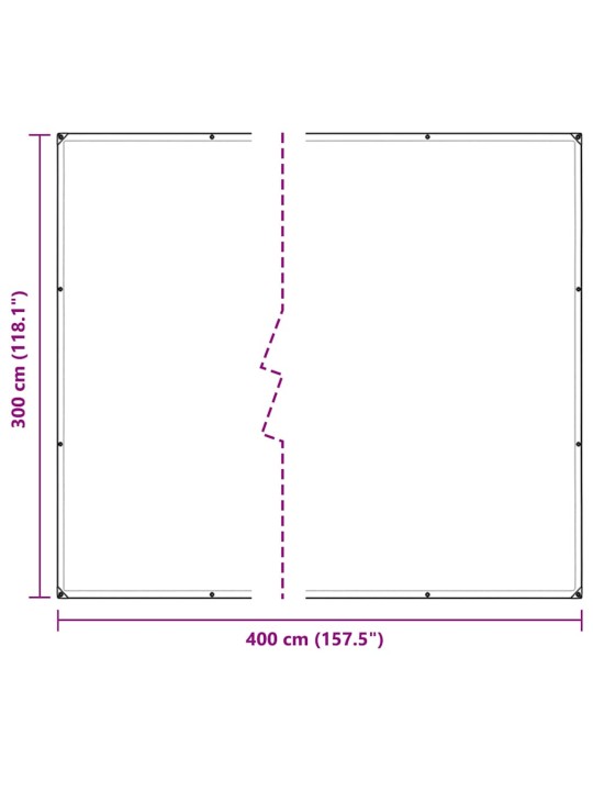 LÄBIPAISTEV PRESENT AASADEGA 3X4 M PVC