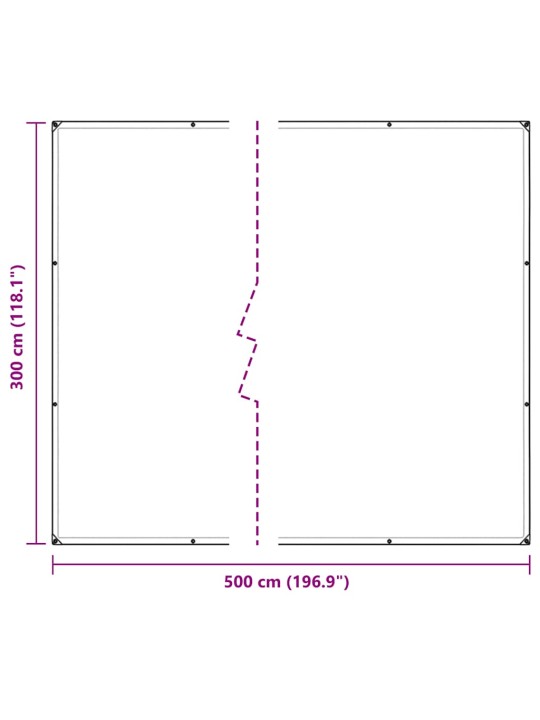 LÄBIPAISTEV PRESENT AASADEGA 3X5 M PVC