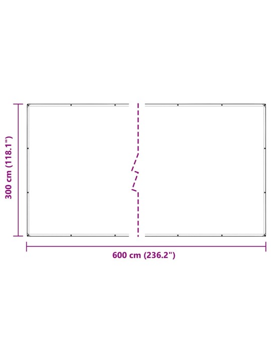 LÄBIPAISTEV PRESENT AASADEGA 3X6 M PVC