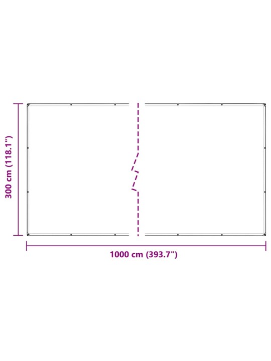 LÄBIPAISTEV PRESENT AASADEGA 3X10 M PVC