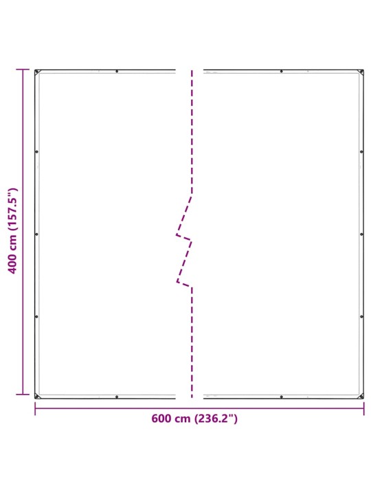 LÄBIPAISTEV PRESENT AASADEGA 4X6 M PVC