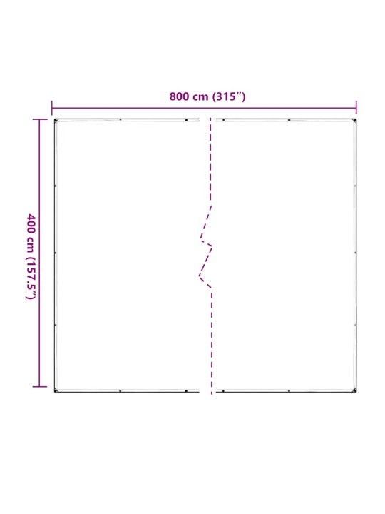 LÄBIPAISTEV PRESENT AASADEGA 4X8 M PVC